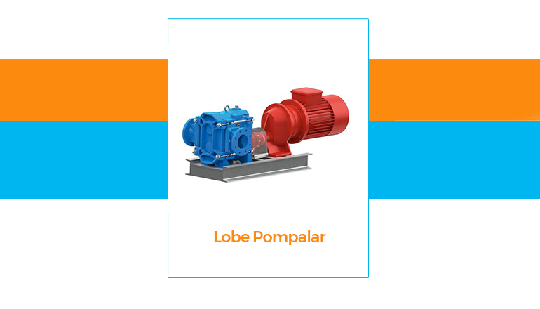 What is a Lobe Pump?