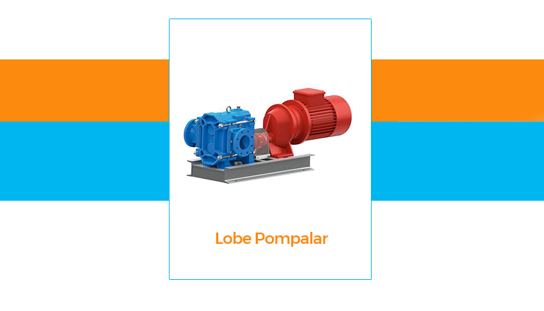 Lobe Pompa Nedir?