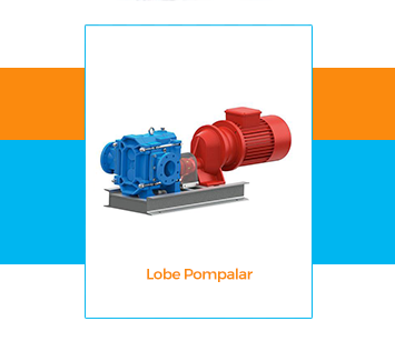 Lobe Pompa Nedir?