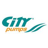 CITY PUMPS