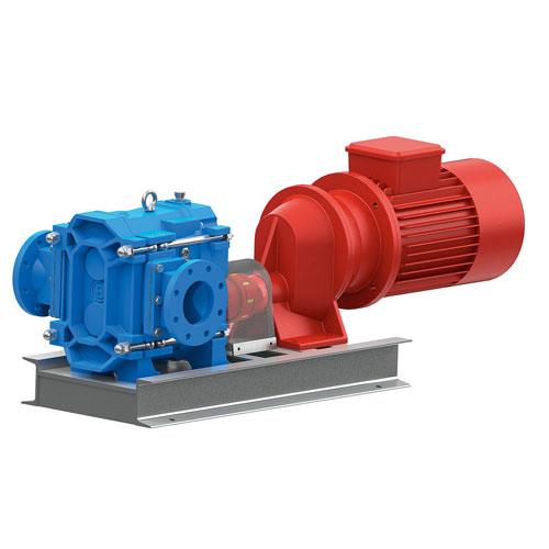 Bellin Plgp Series Lobe Pumps