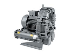 Fpz Ms Series Side Channel Blowers